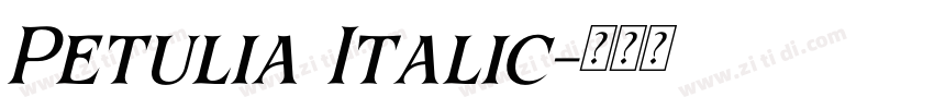 Petulia Italic字体转换